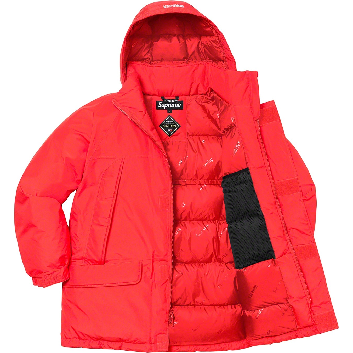 GORE-TEX 700-Fill Down Parka view 22